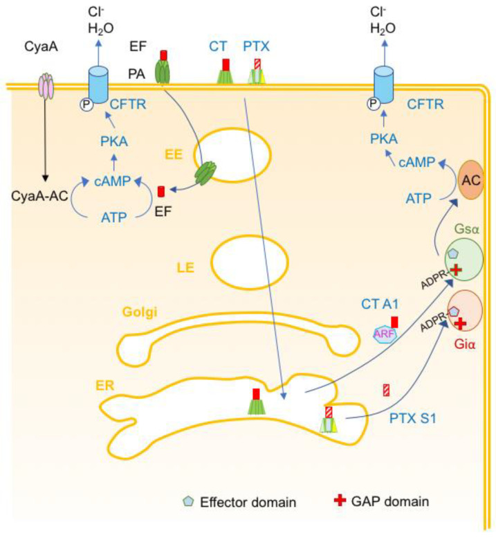 Figure 13