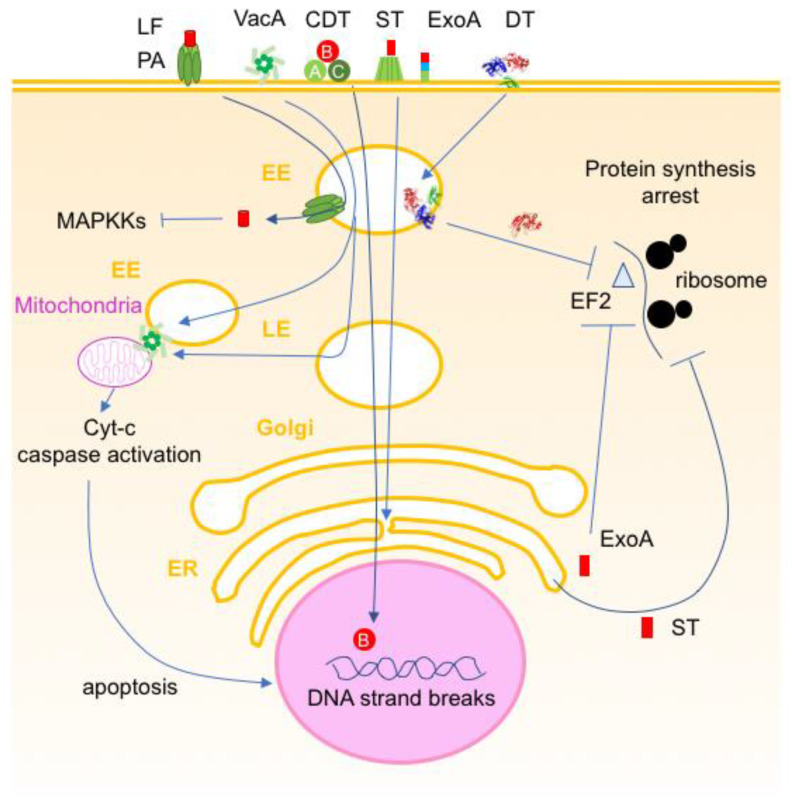 Figure 12