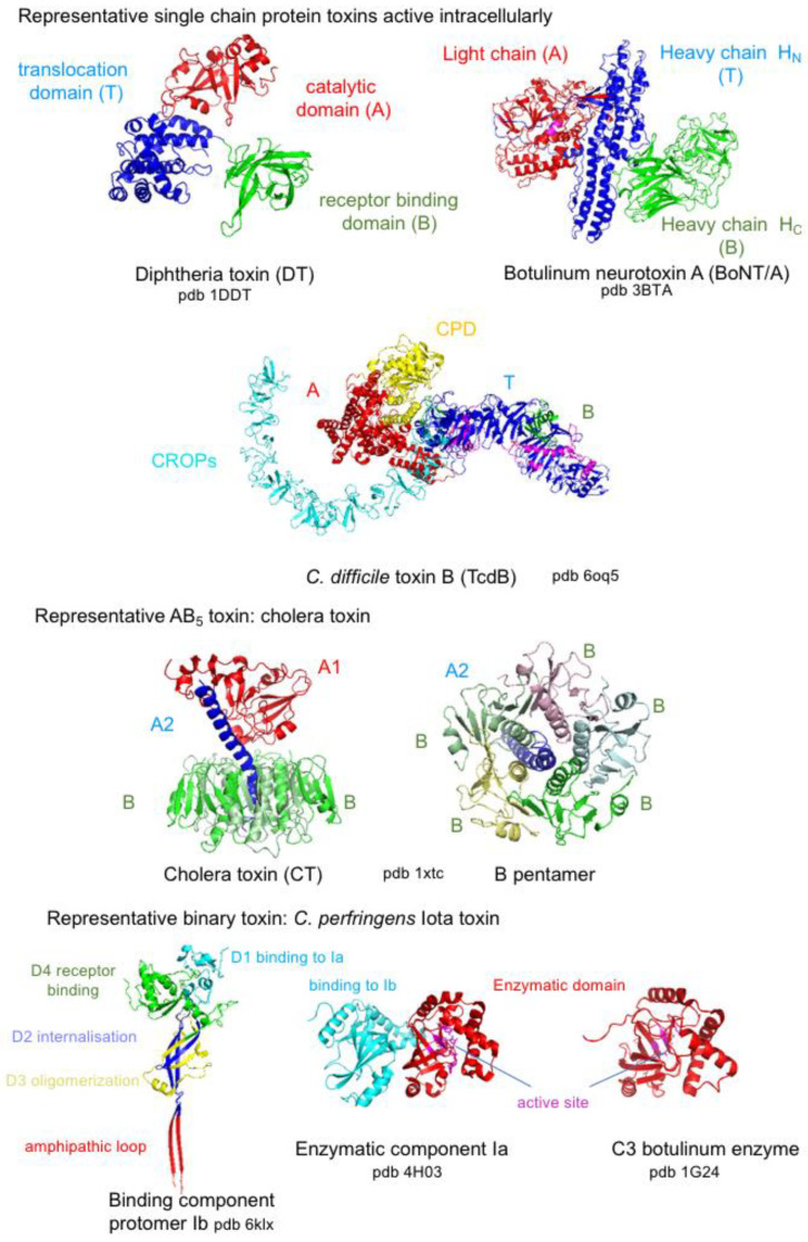 Figure 10