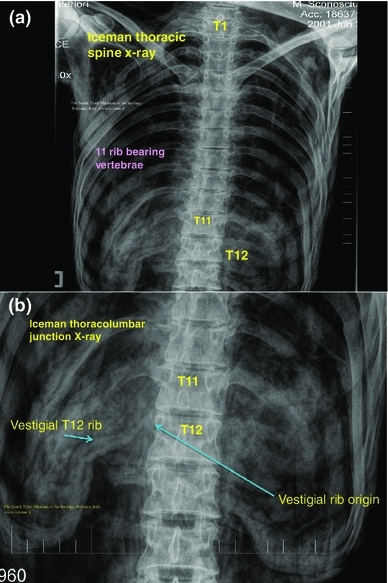 Fig. 6