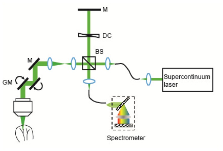 Fig. 1