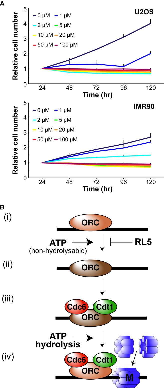 Figure 7