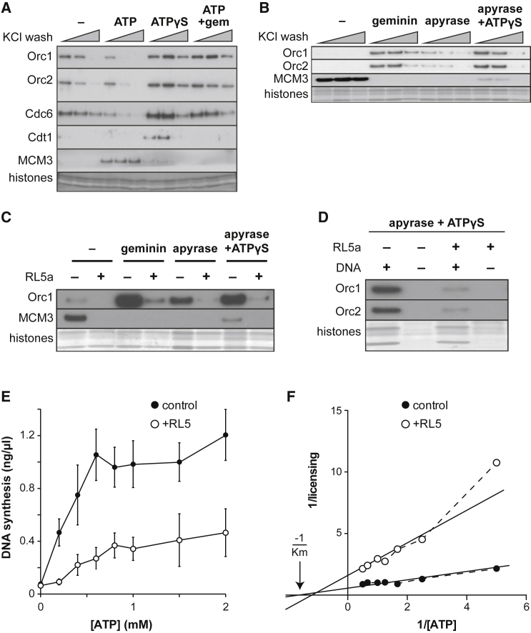 Figure 6