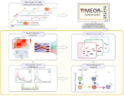 Graphical Abstract