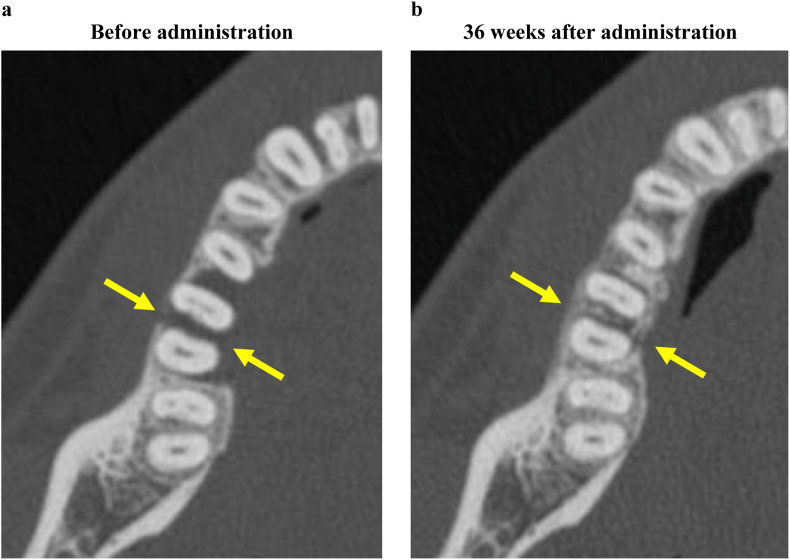 Fig. 3