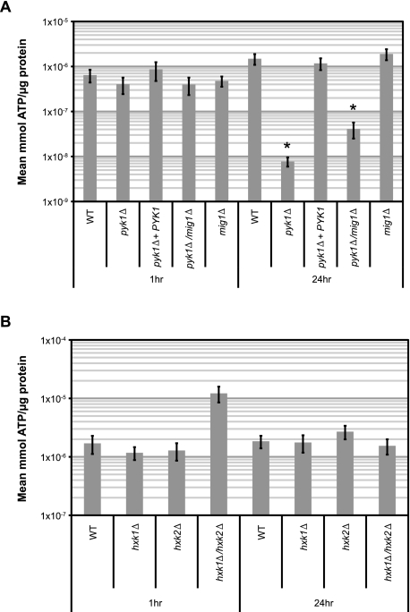 FIG 5 