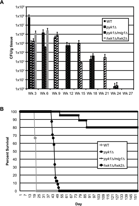 FIG 4 