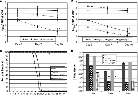 FIG 2 