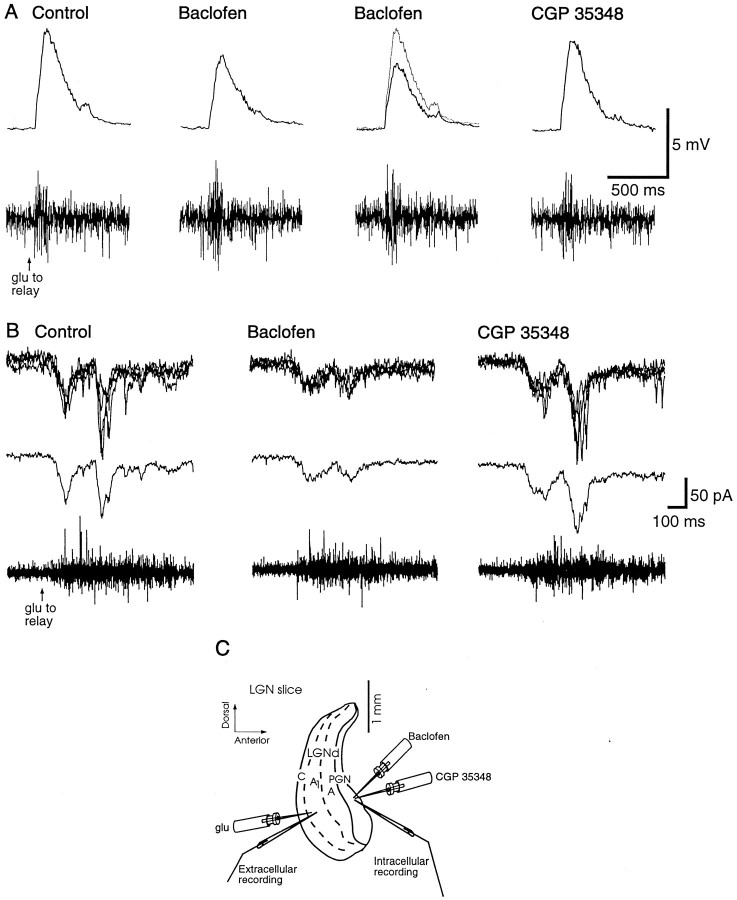 Fig. 8.