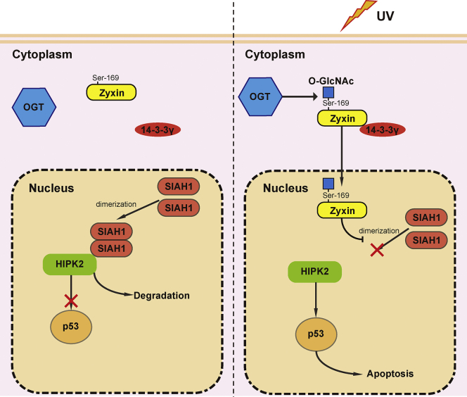 Figure 7