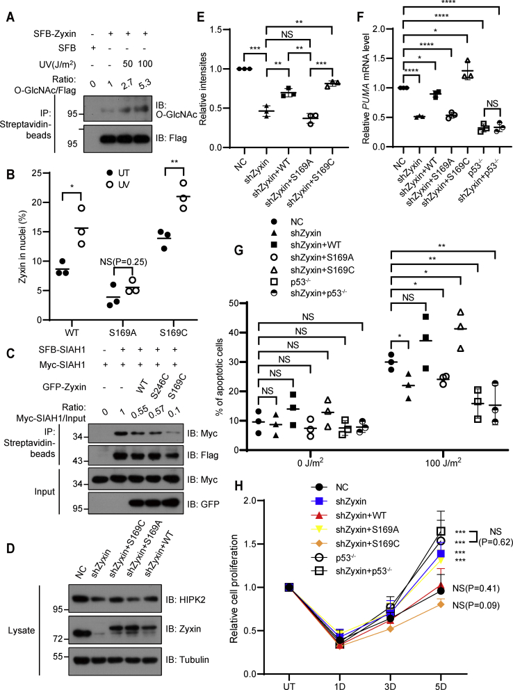 Figure 6