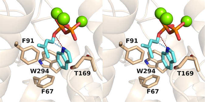 Fig. 6