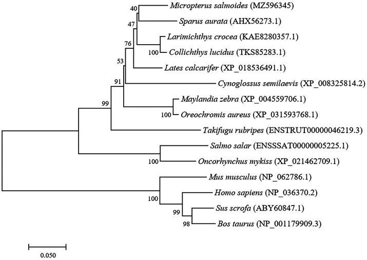 Figure 2