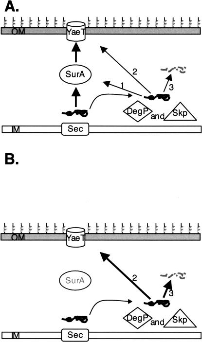 Figure 9.