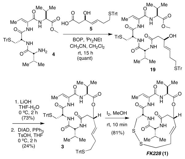 Scheme 5