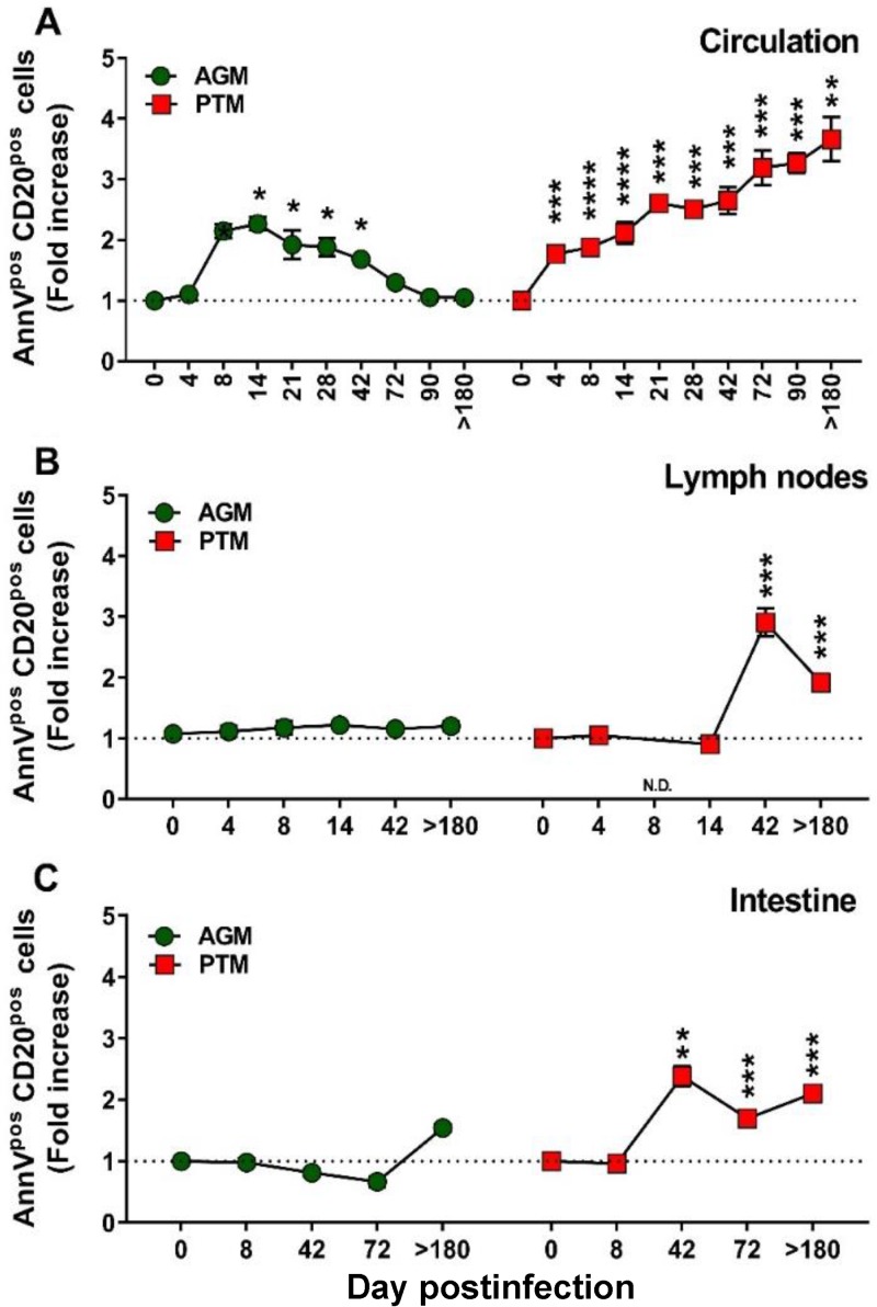 FIG 6