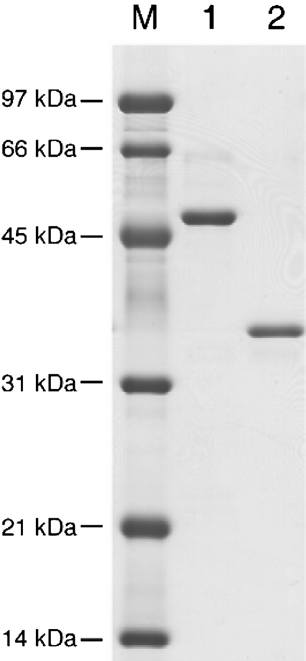 Fig. 2