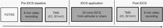 Fig. 1