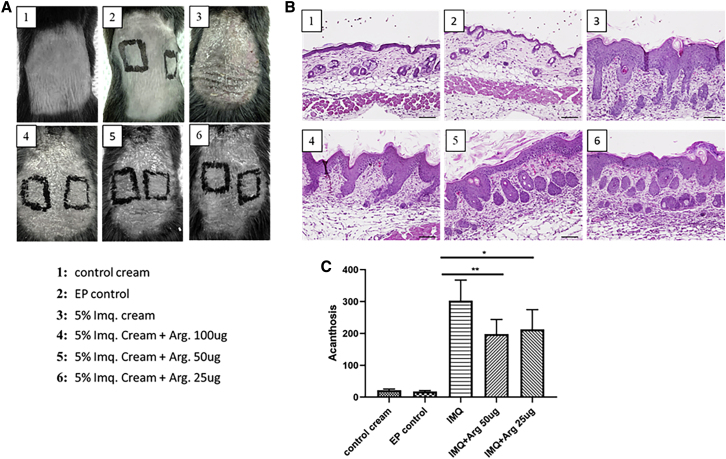 Figure 6