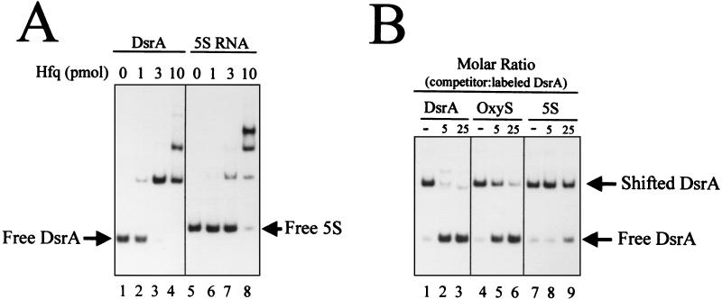 FIG. 8