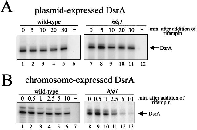 FIG. 6