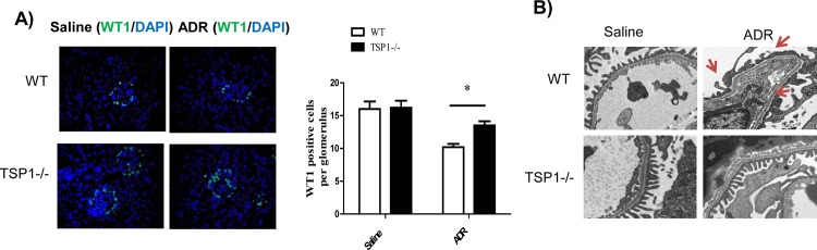 Fig 8