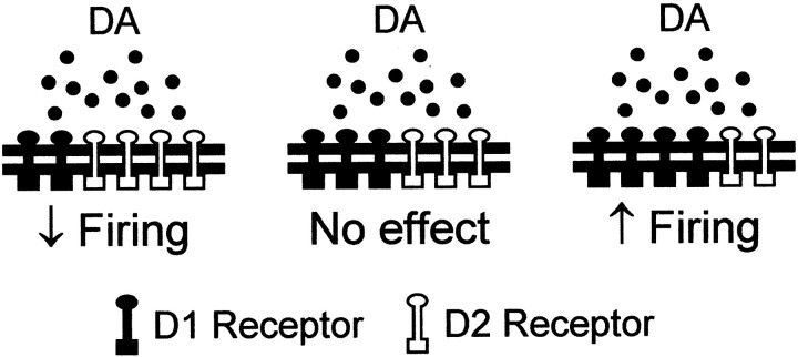 Fig. 11.