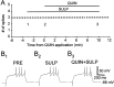 Fig. 8.