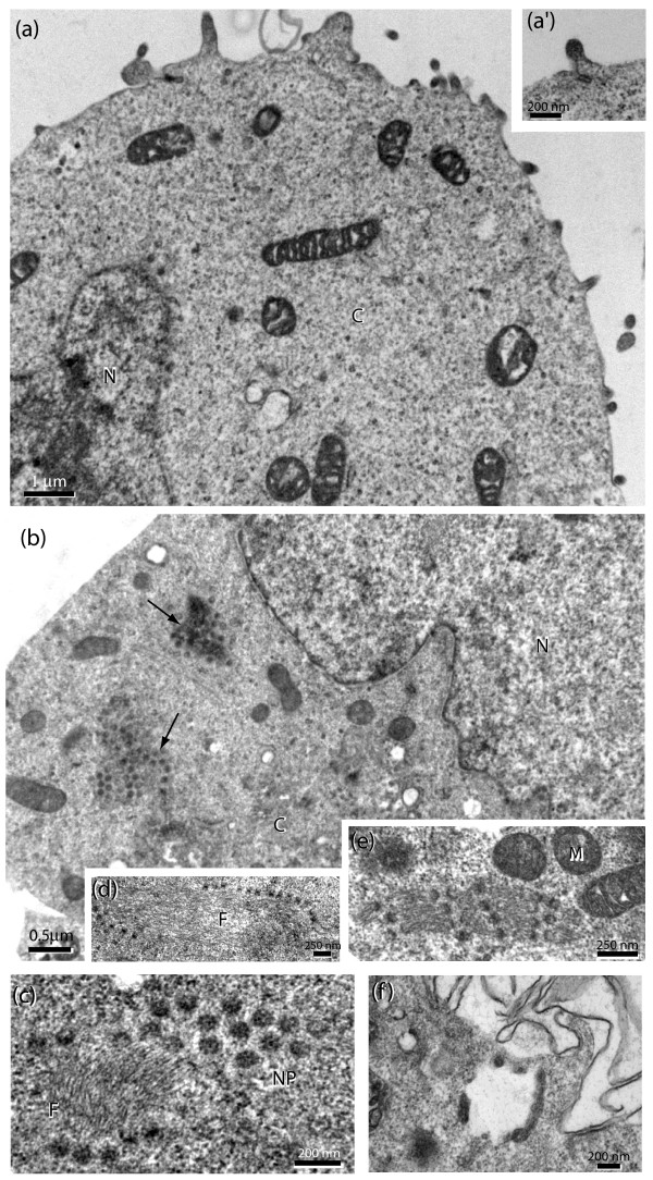 Figure 10