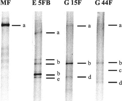 FIG. 4.