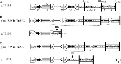 Fig. 3.