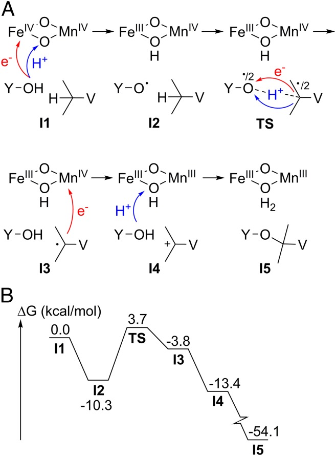 Fig. 3.