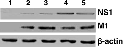 FIG. 3.