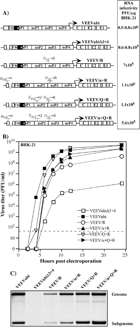 FIG. 6