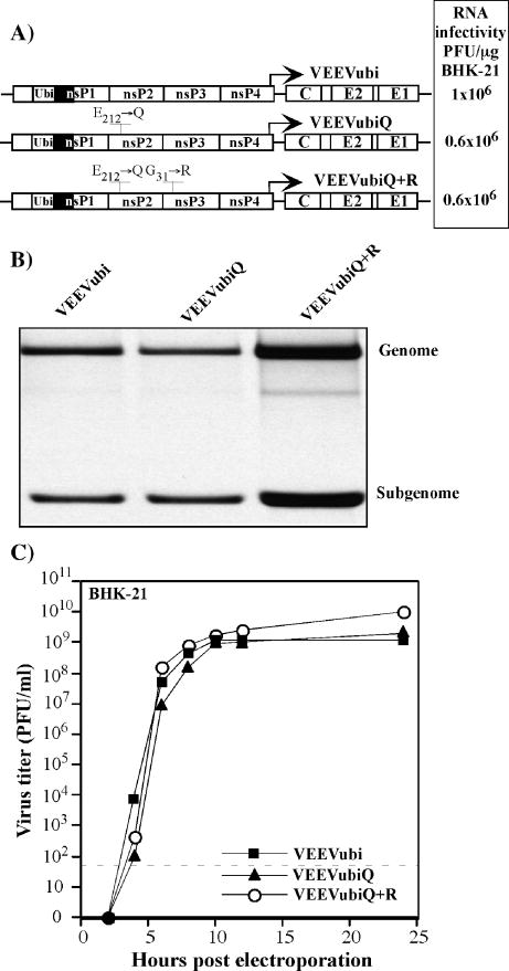 FIG. 8