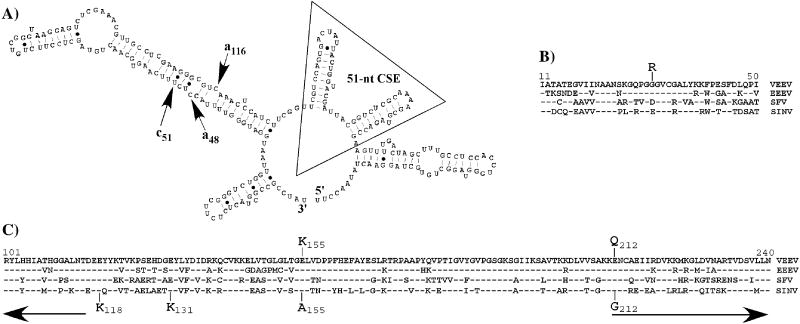 FIG. 9