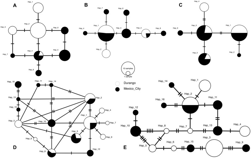 Fig 2