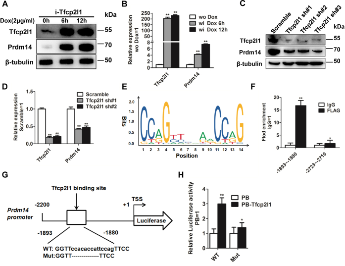 Figure 4