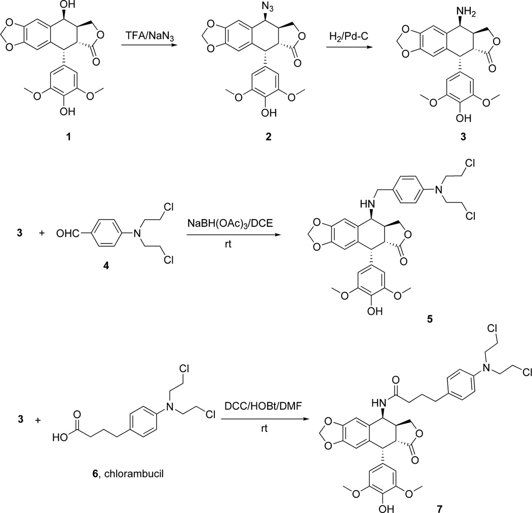 Scheme 1