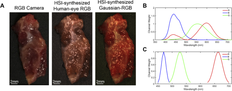 Fig. 2.