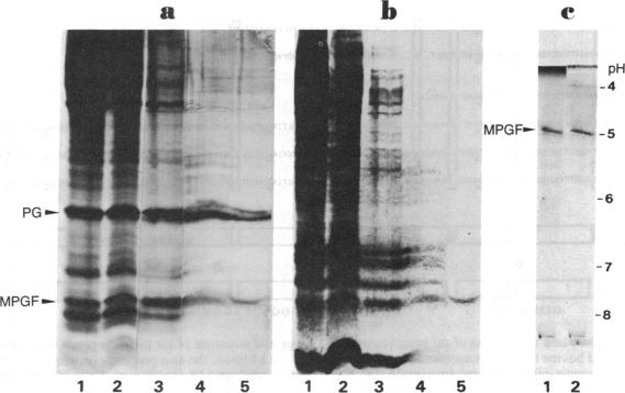 graphic file with name pnas00617-0009-a.jpg