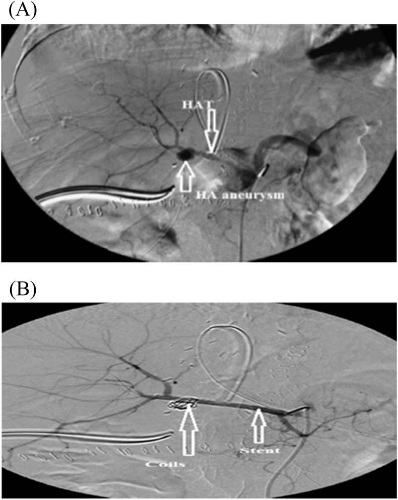 Fig. 8