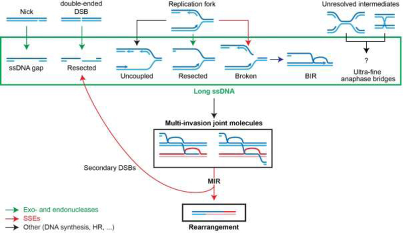 Figure 3: