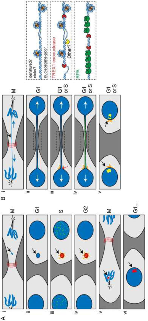 Figure 5: