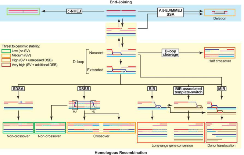 Figure 1: