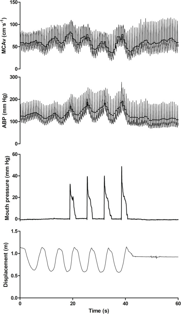 Fig. 3