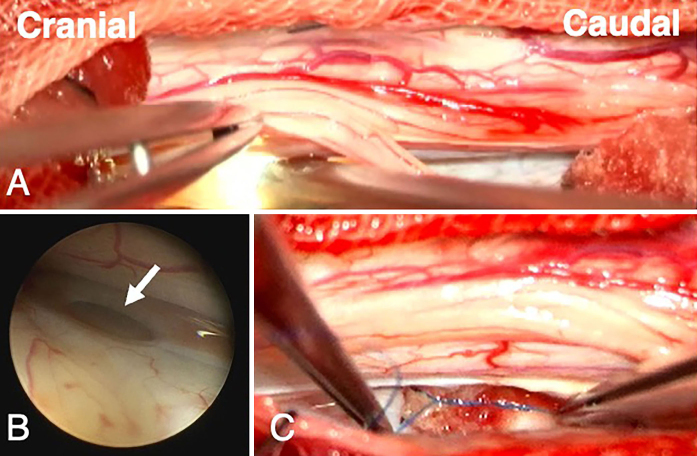 FIG. 4.