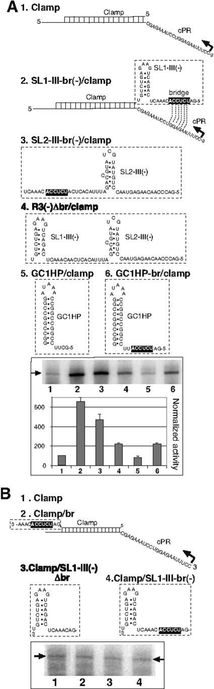 FIG.2.