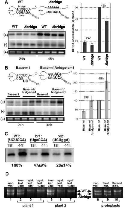 FIG. 4.