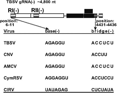 FIG. 5.